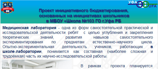 Школьный проект 