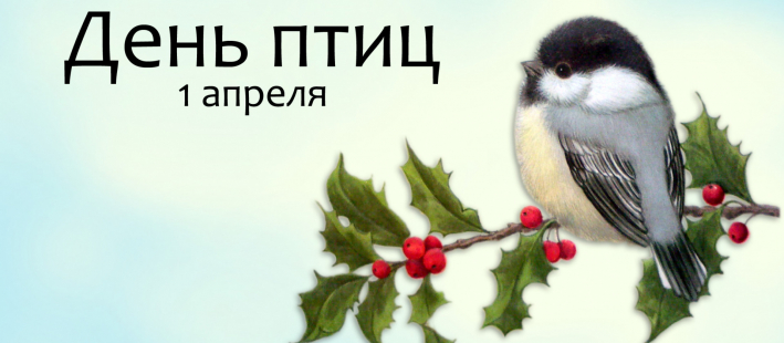 Конкурс рисунков 