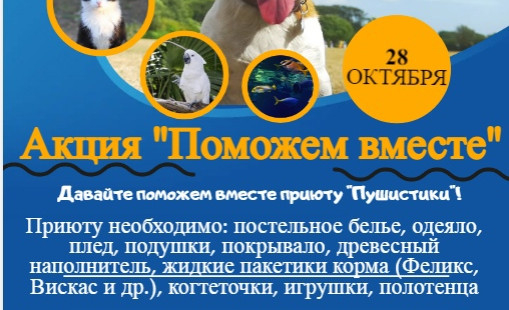 Поможем братьям нашим меньшим!